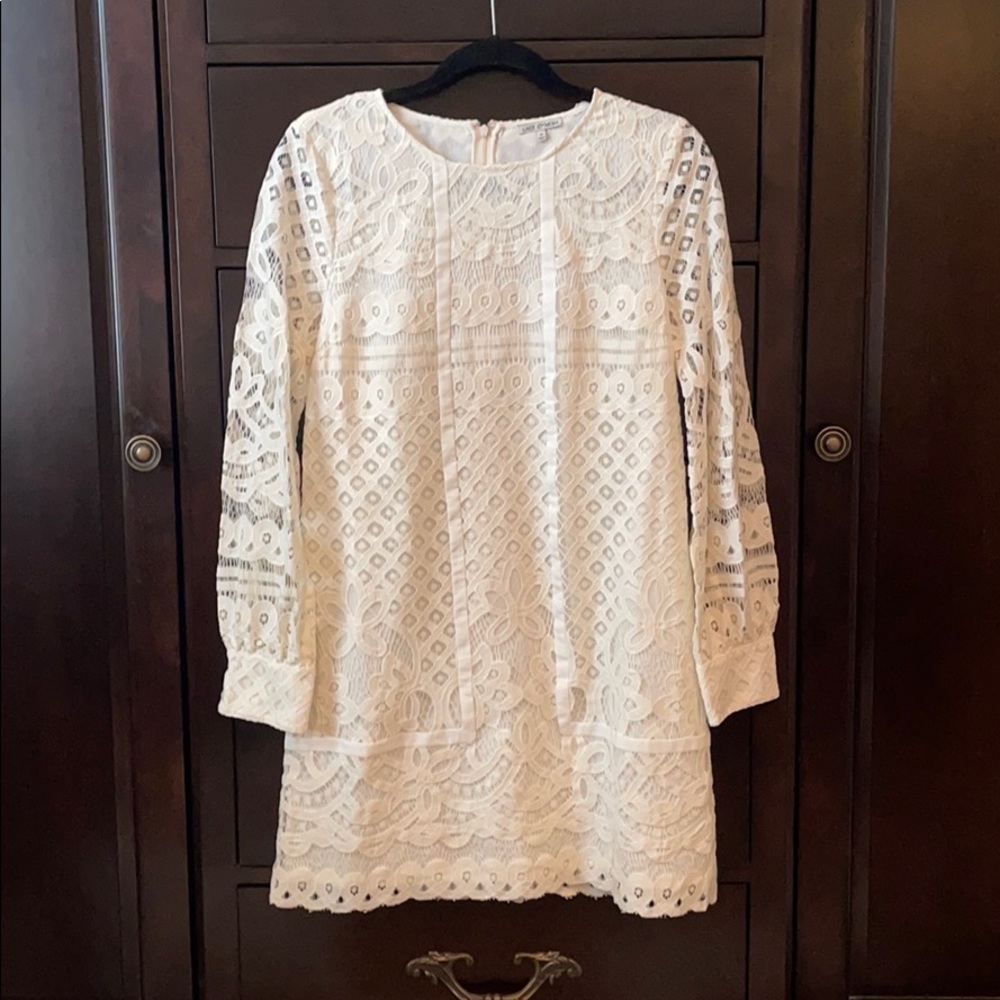 Lace and Mesh white long sleeved dress